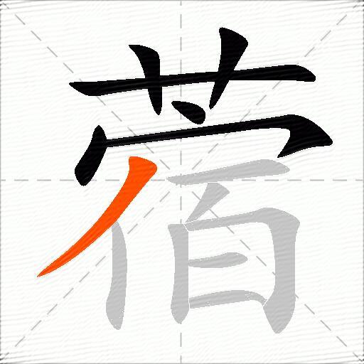蓿