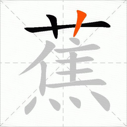 蕉