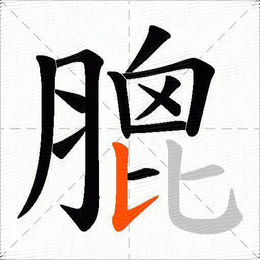 膍
