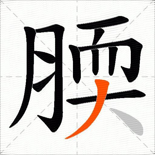 腝