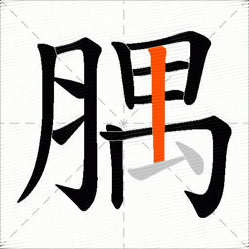腢