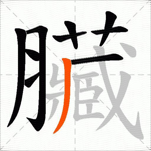 臟