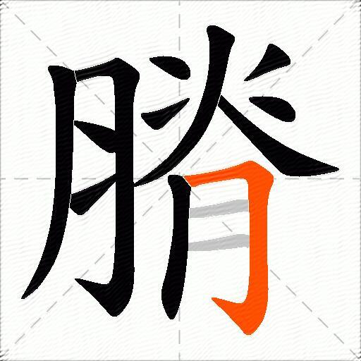 膌
