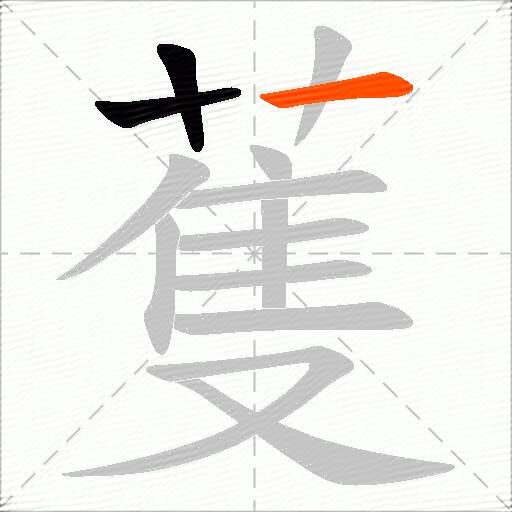 蒦