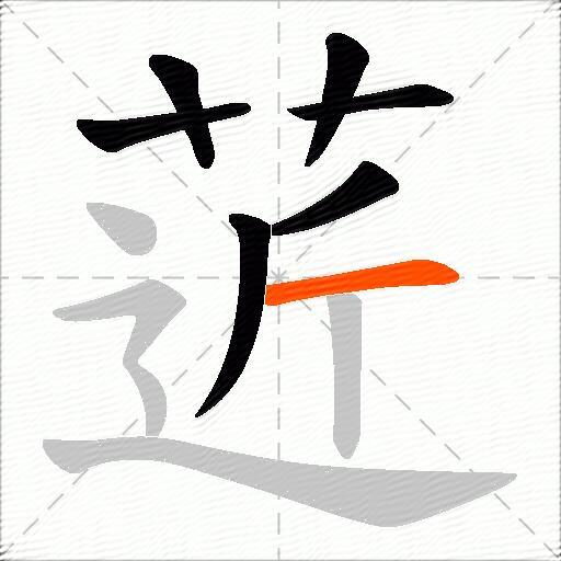 菦
