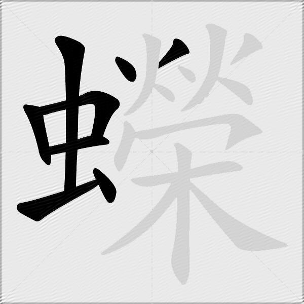 蠑