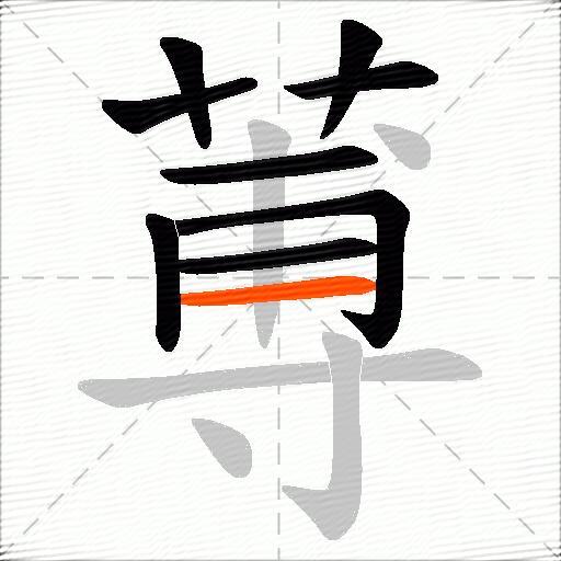 蒪