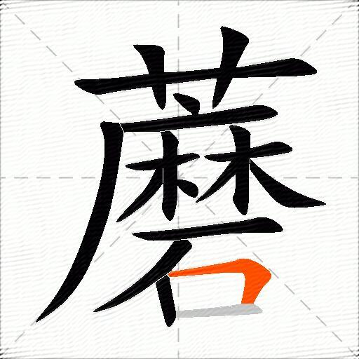 蘑