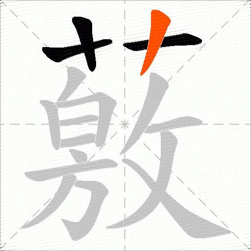 薂
