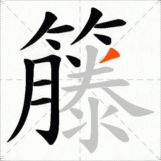 籐
