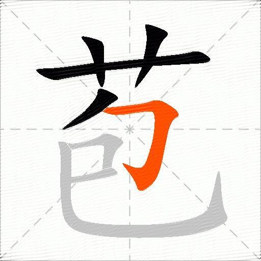 苞