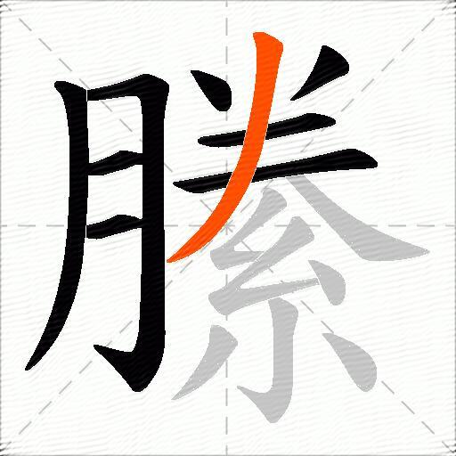 縢