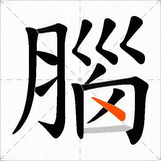 腦