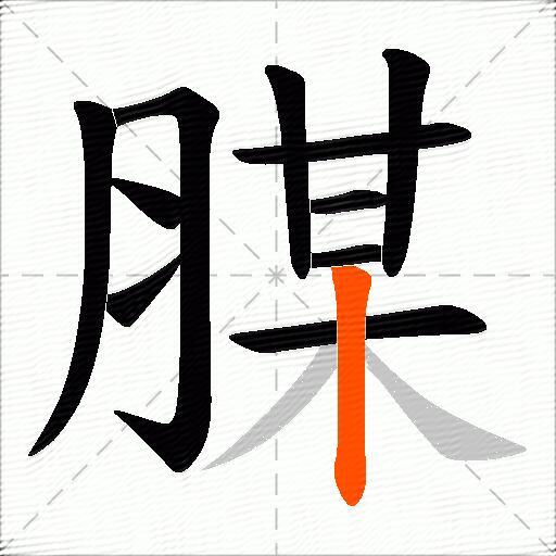 腜