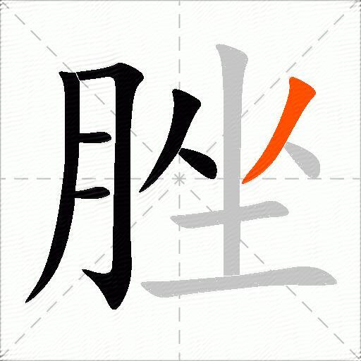 脞
