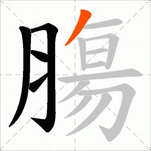 膓