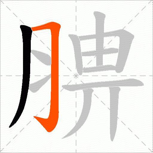 腗