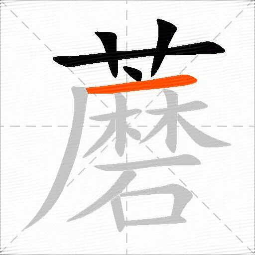 蘑