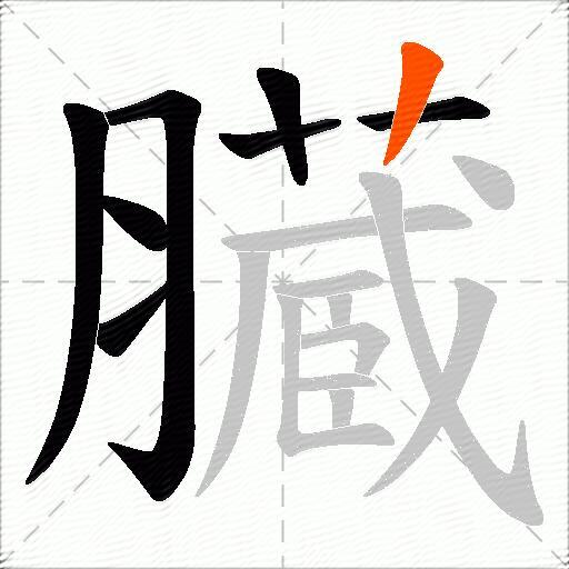 臓