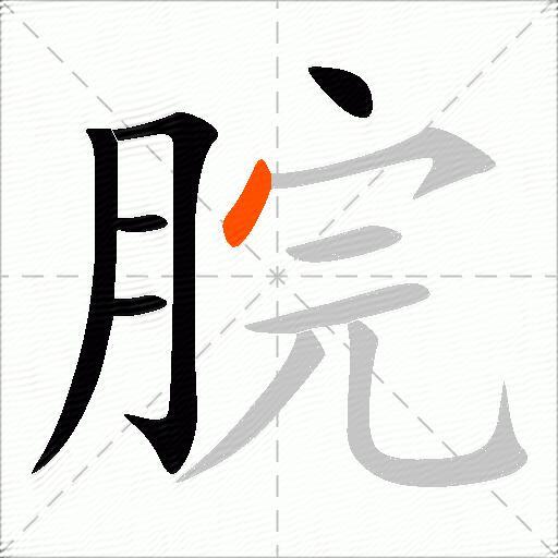 脘