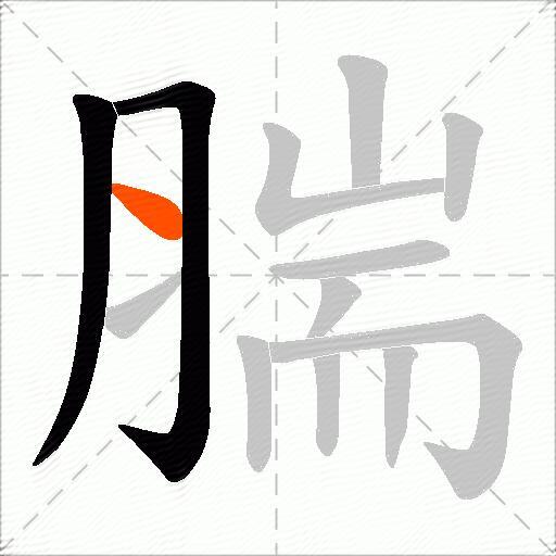 腨