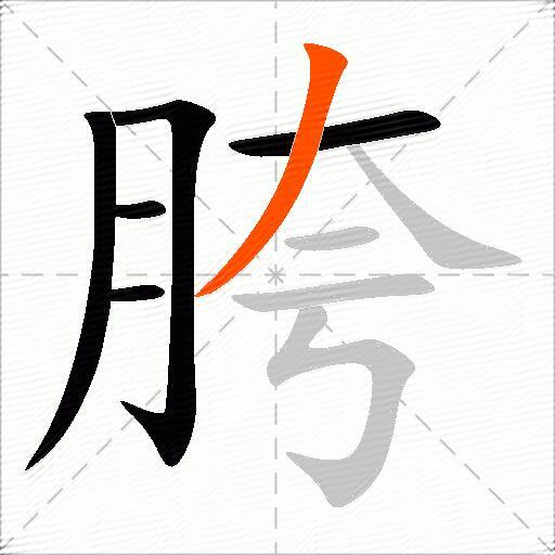 胯