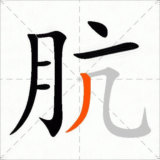 肮