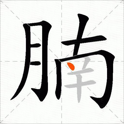 腩