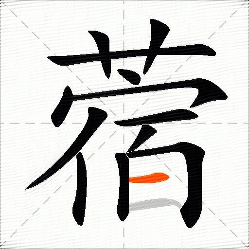 蓿