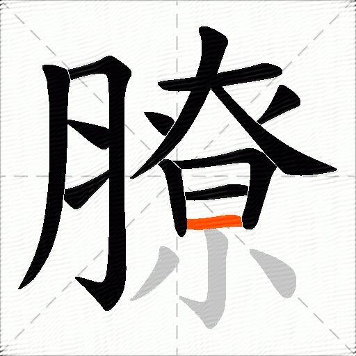 膫