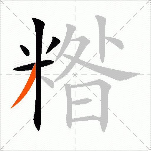 糌