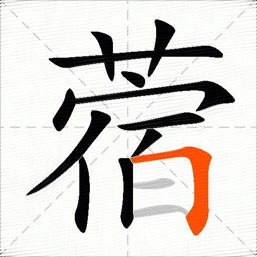 蓿