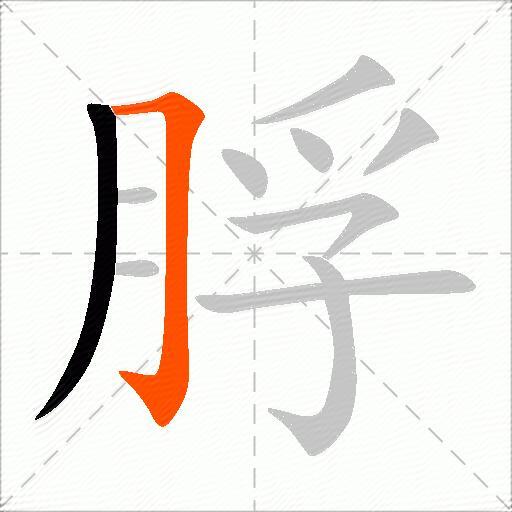 脬