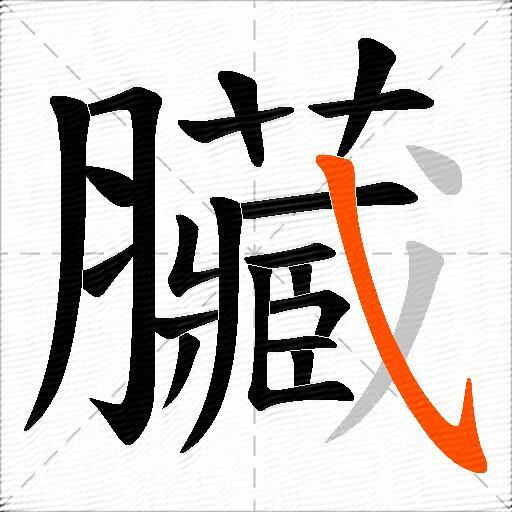 臟