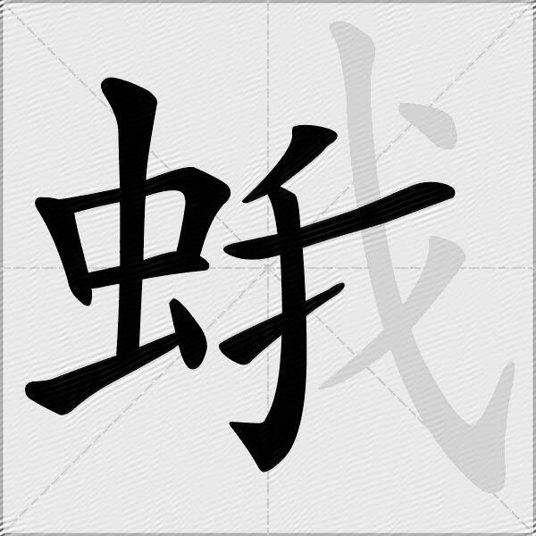 蛾