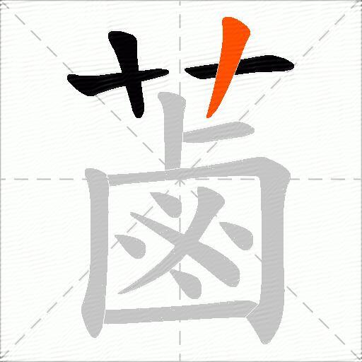 蓾