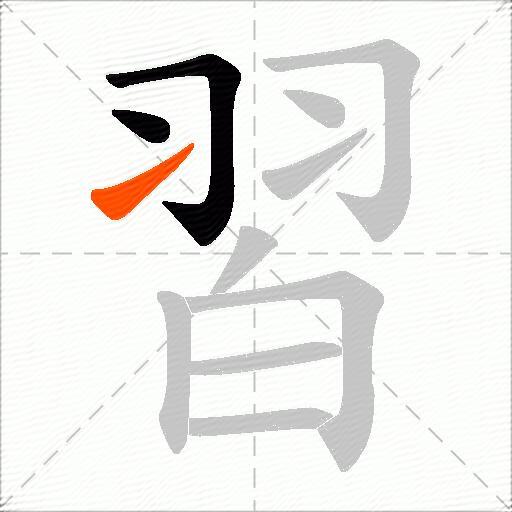 習