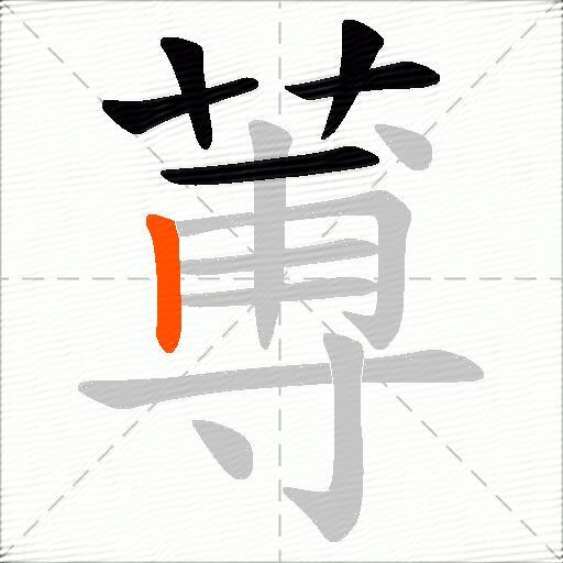 蒪