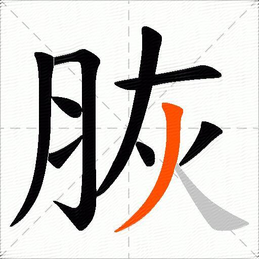脄