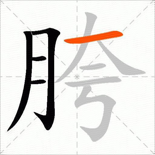胯