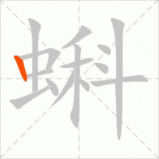 蝌