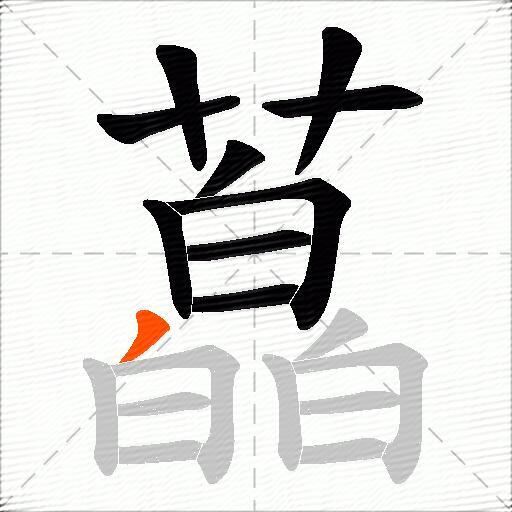 藠