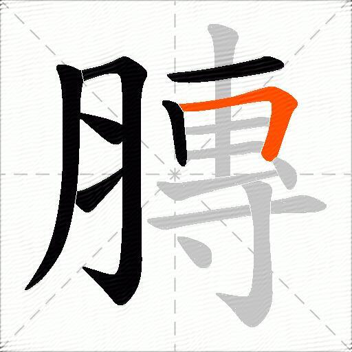 膞