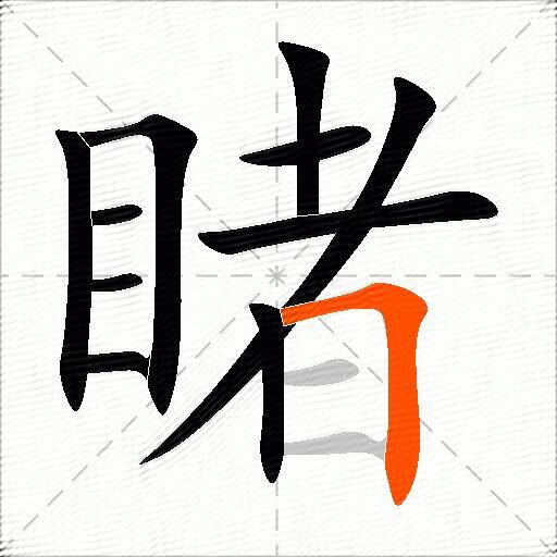 睹