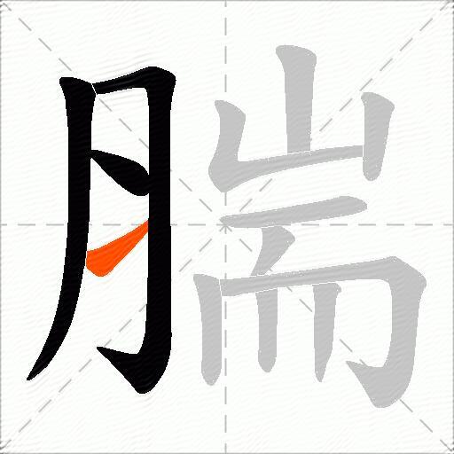 腨