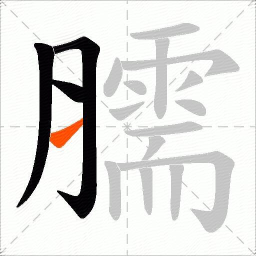 臑