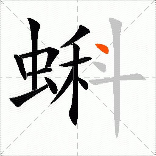 蝌