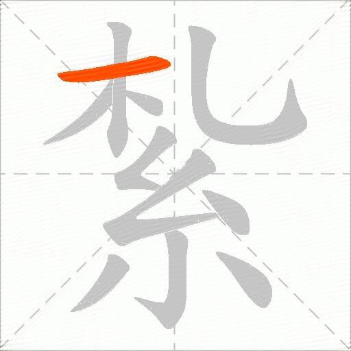 紮