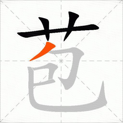 苞
