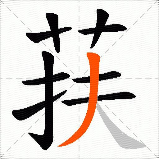 荴